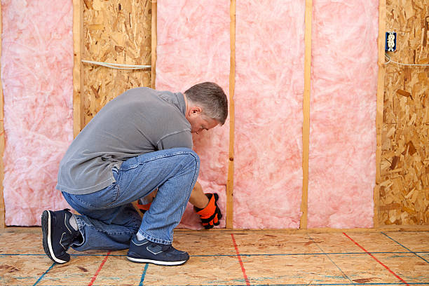 Trusted Streamwood, IL Insulation Experts